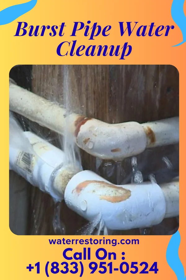 Burst Pipe Water Cleanup in Bedford, KY