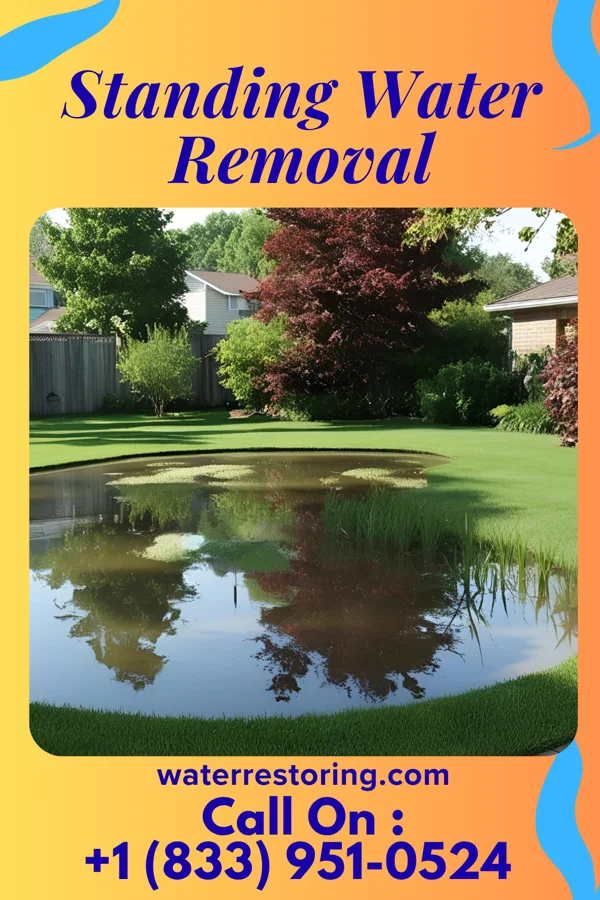 Standing Water Removal in Bedford, KY